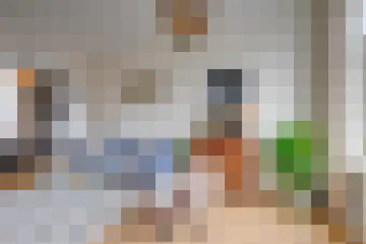 Jan Pieterszoon Coenstraat 96 BS Utrecht thumbnail 13