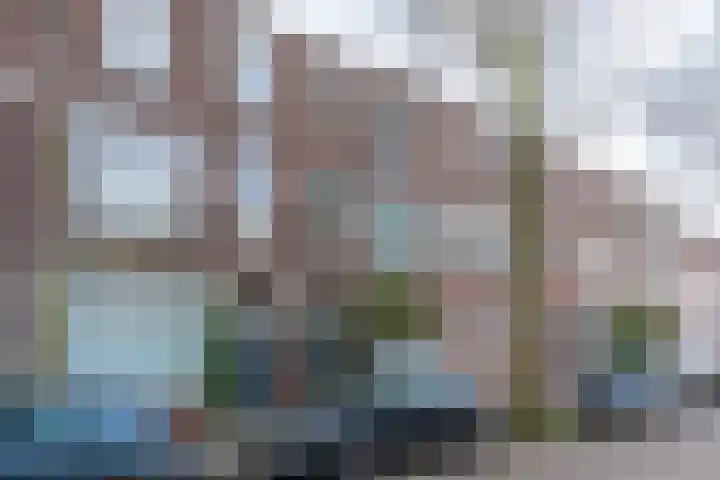 Jan Pieterszoon Coenstraat 96 BS Utrecht thumbnail 5