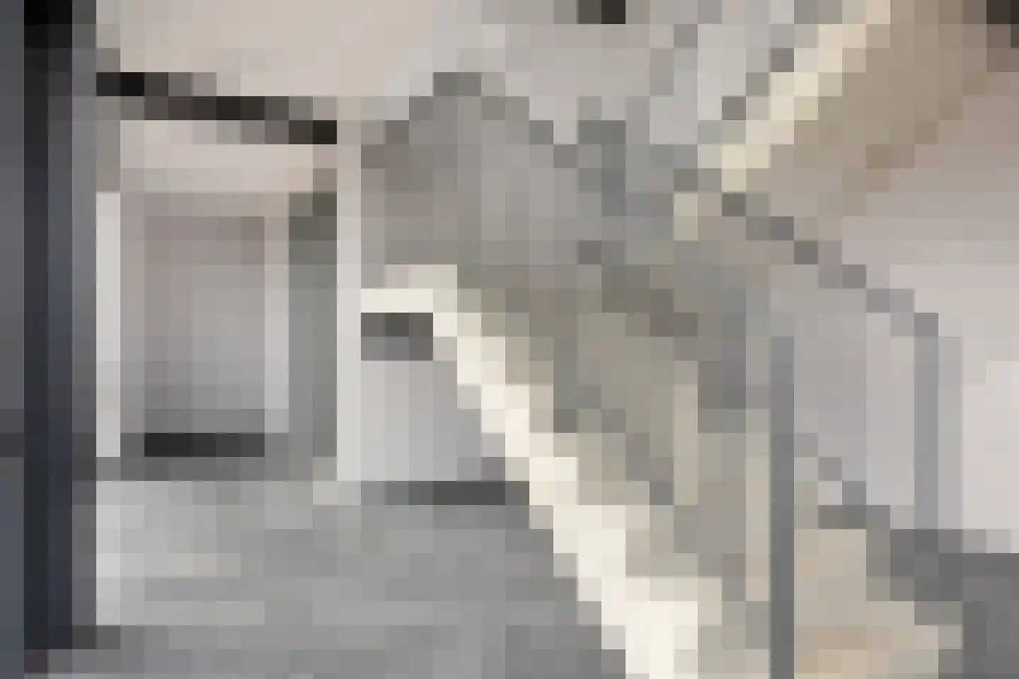 Jan Poelsweg 6 T Ysselsteyn thumbnail 6
