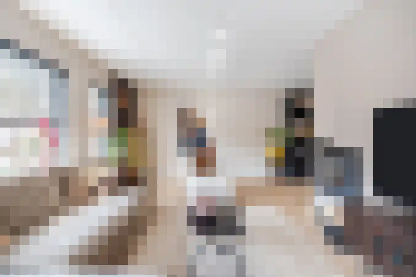 Jan Poortmanweg 12 de Wijk thumbnail 10