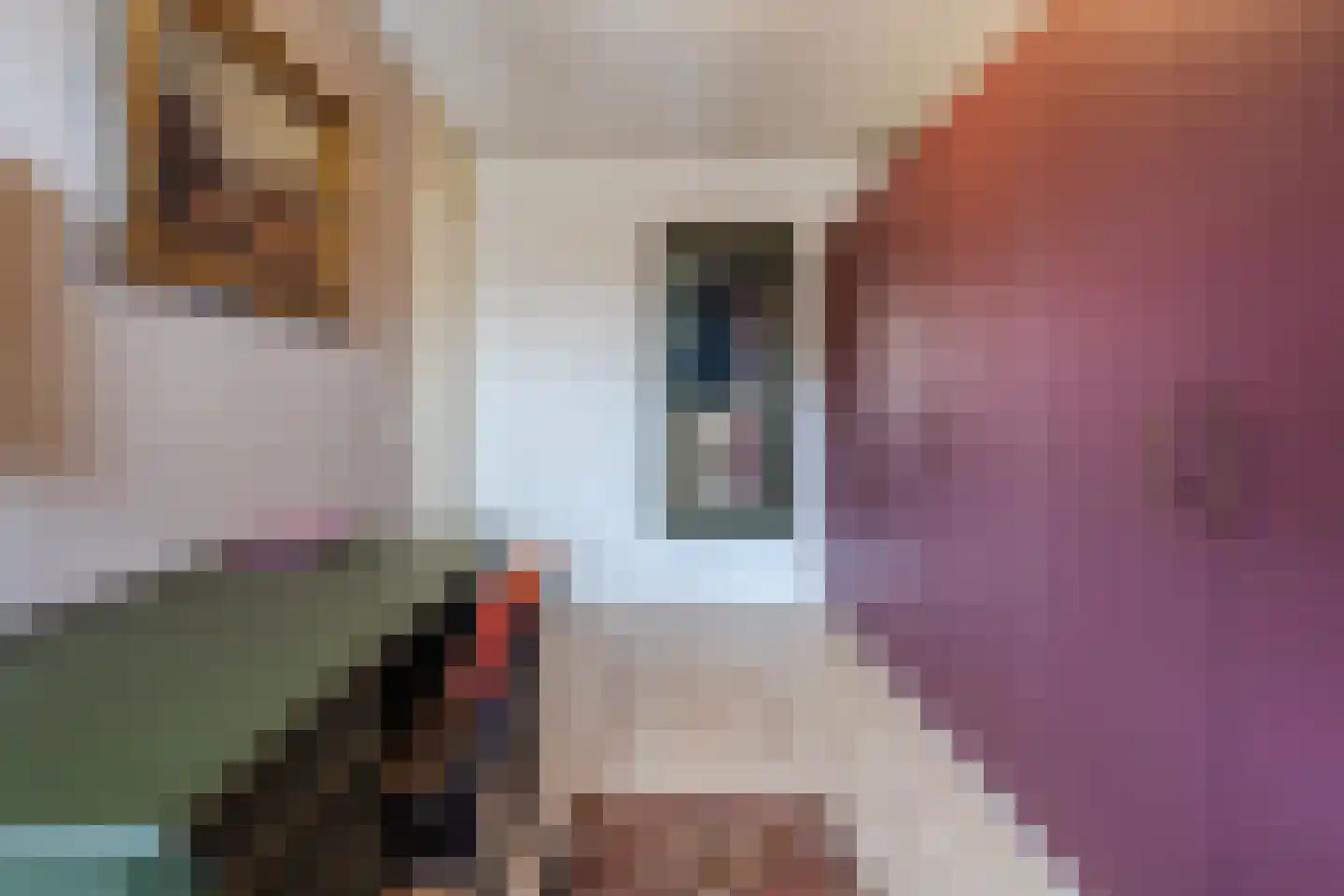 Jan Poortmanweg 12 de Wijk thumbnail 30