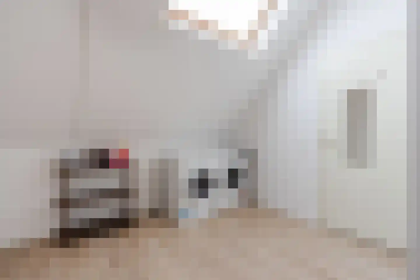 Jan Poortmanweg 12 de Wijk thumbnail 34
