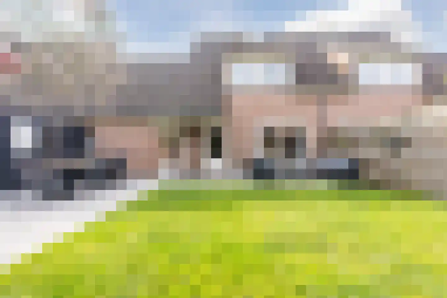 Jan Poortmanweg 12 de Wijk thumbnail 37