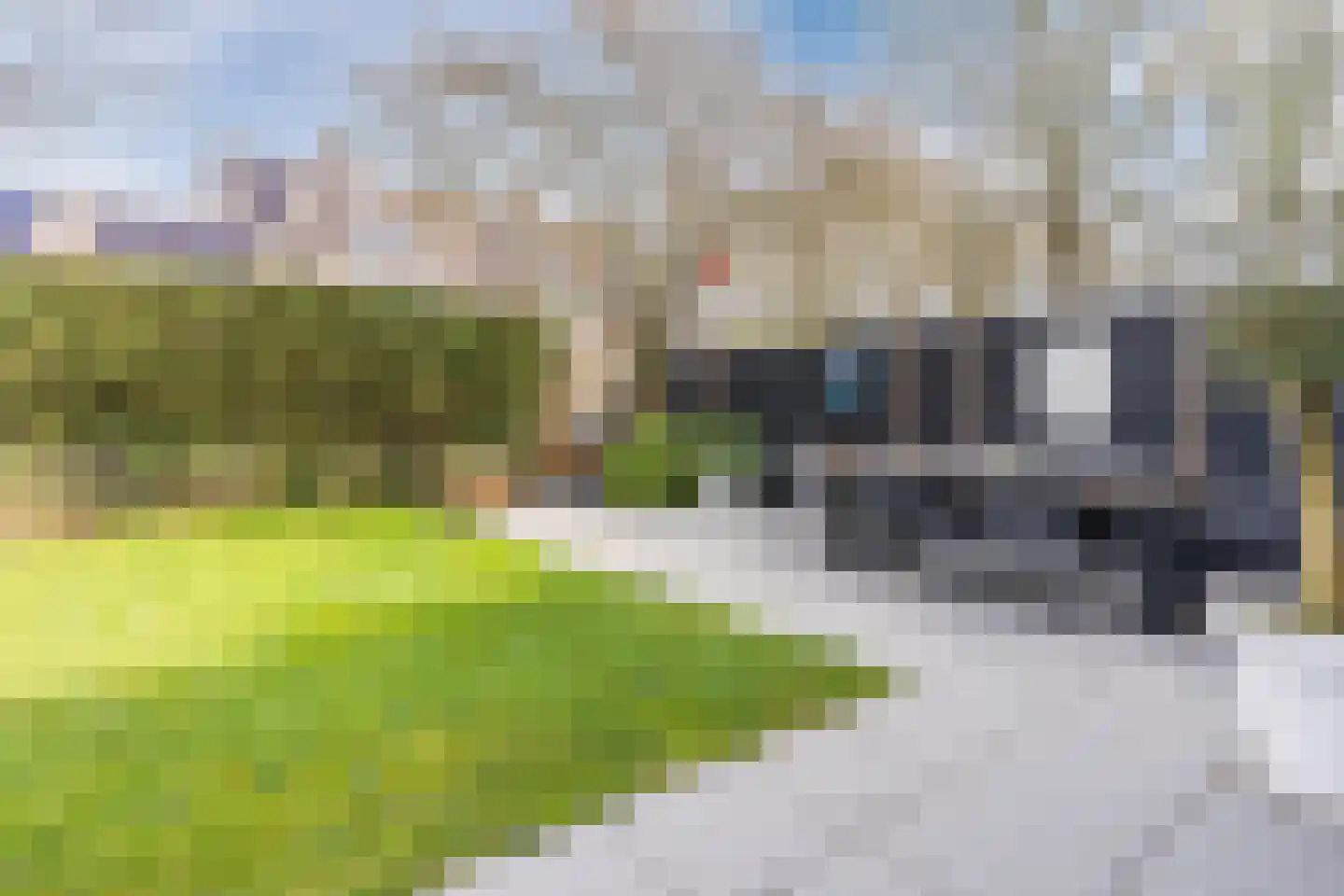 Jan Poortmanweg 12 de Wijk thumbnail 39