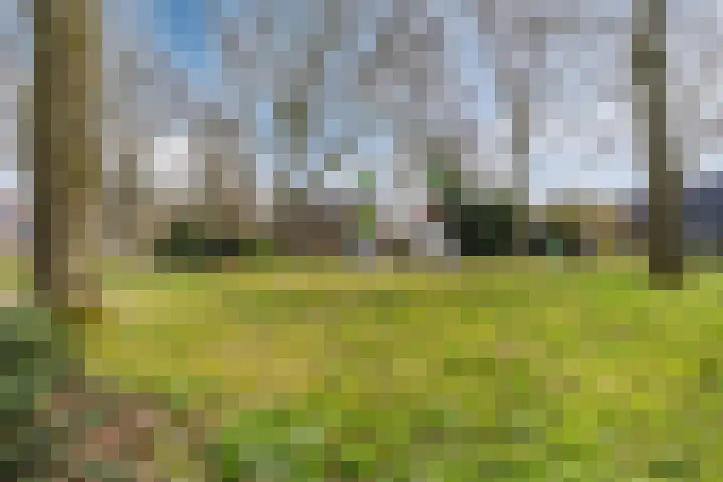 Jan Poortmanweg 12 de Wijk thumbnail 43