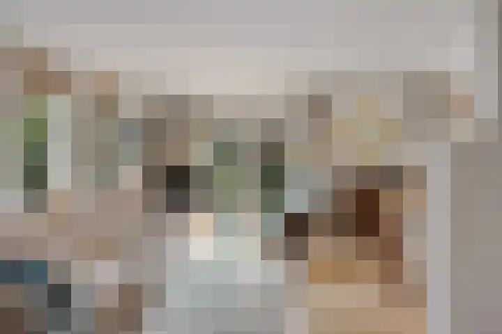 Jan Poortmanweg 2 de Wijk thumbnail 10