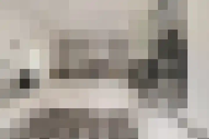 Jan Poortmanweg 2 de Wijk thumbnail 17