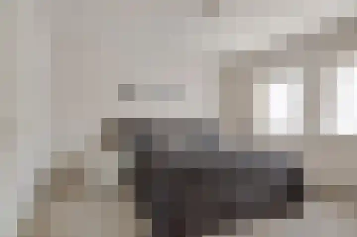 Jan Poortmanweg 2 de Wijk thumbnail 21