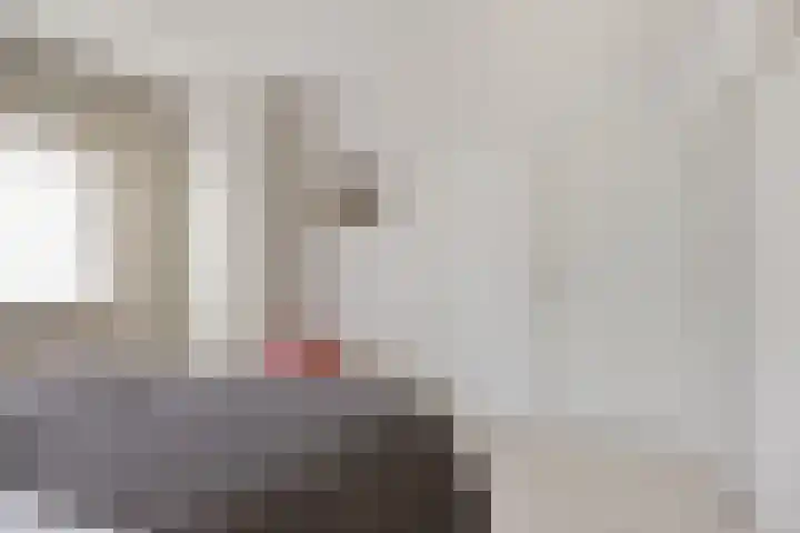 Jan Poortmanweg 2 de Wijk thumbnail 22