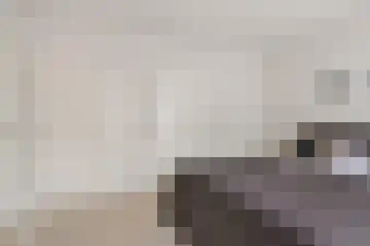 Jan Poortmanweg 2 de Wijk thumbnail 23