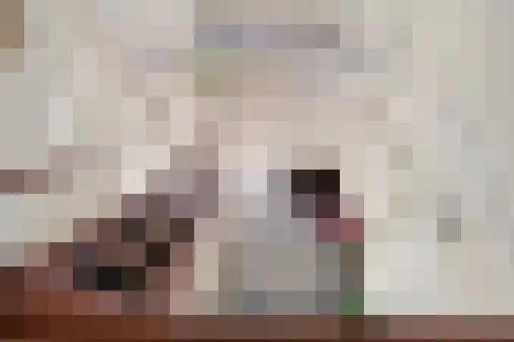 Jan Poortmanweg 2 de Wijk thumbnail 30
