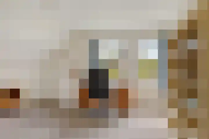 Jan Poortmanweg 2 de Wijk thumbnail 33