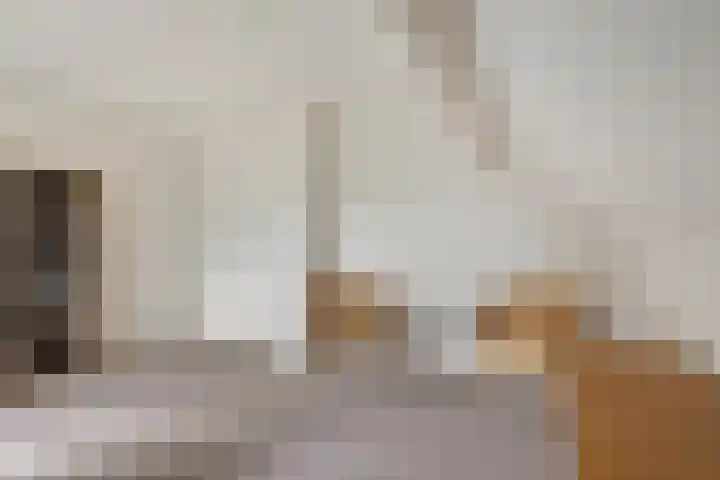 Jan Poortmanweg 2 de Wijk thumbnail 34