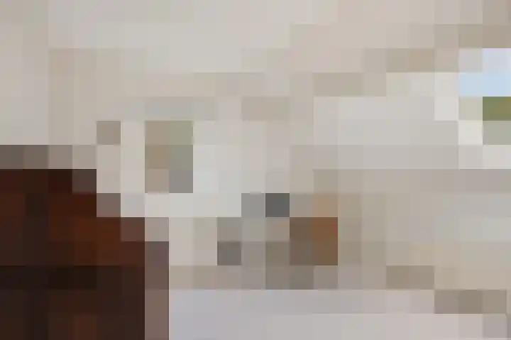 Jan Poortmanweg 2 de Wijk thumbnail 36