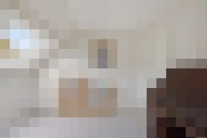 Jan Poortmanweg 2 de Wijk thumbnail 37