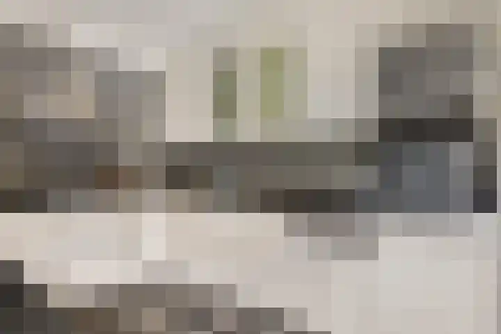 Jan Poortmanweg 2 de Wijk thumbnail 4