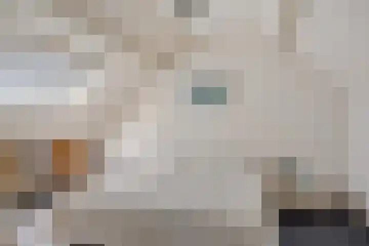 Jan Poortmanweg 2 de Wijk thumbnail 41
