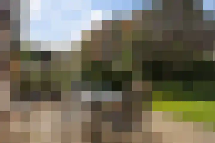 Jan Poortmanweg 2 de Wijk thumbnail 44