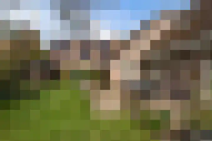 Jan Poortmanweg 2 de Wijk thumbnail 45
