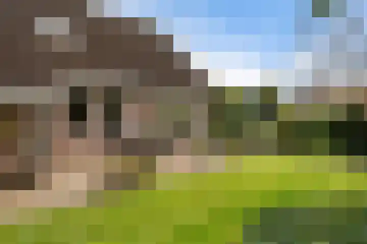 Jan Poortmanweg 2 de Wijk thumbnail 46