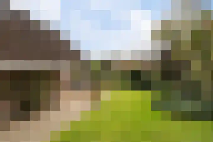 Jan Poortmanweg 2 de Wijk thumbnail 47
