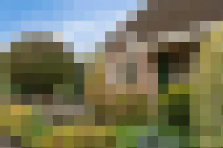 Jan Poortmanweg 2 de Wijk thumbnail 48