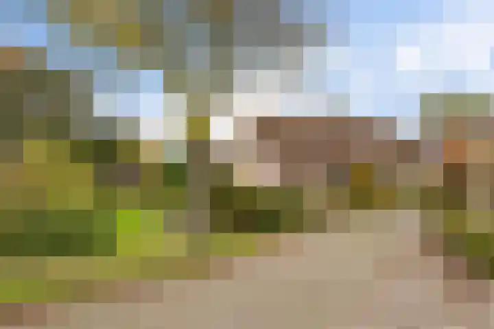 Jan Poortmanweg 2 de Wijk thumbnail 50