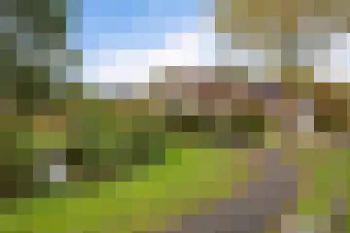 Jan Poortmanweg 2 de Wijk thumbnail 51