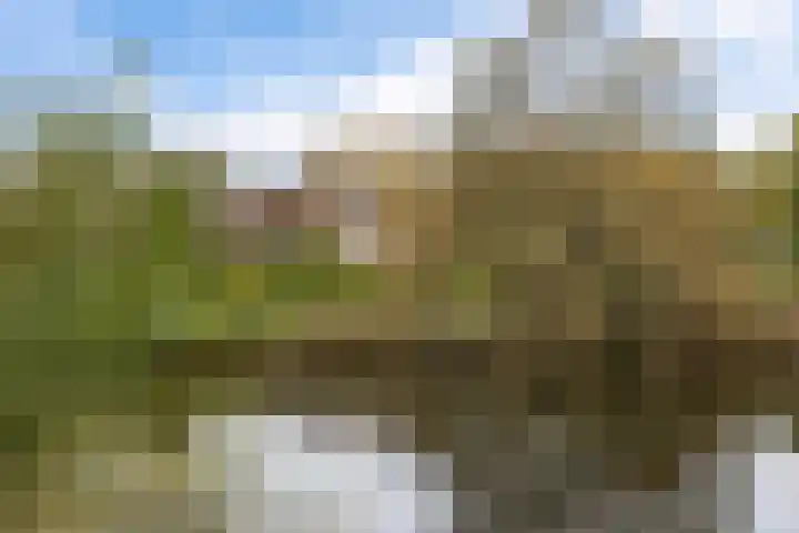 Jan Poortmanweg 2 de Wijk thumbnail 52