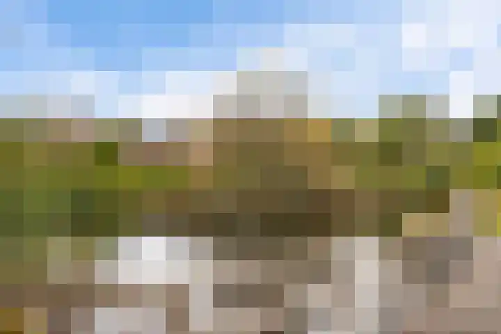 Jan Poortmanweg 2 de Wijk thumbnail 53