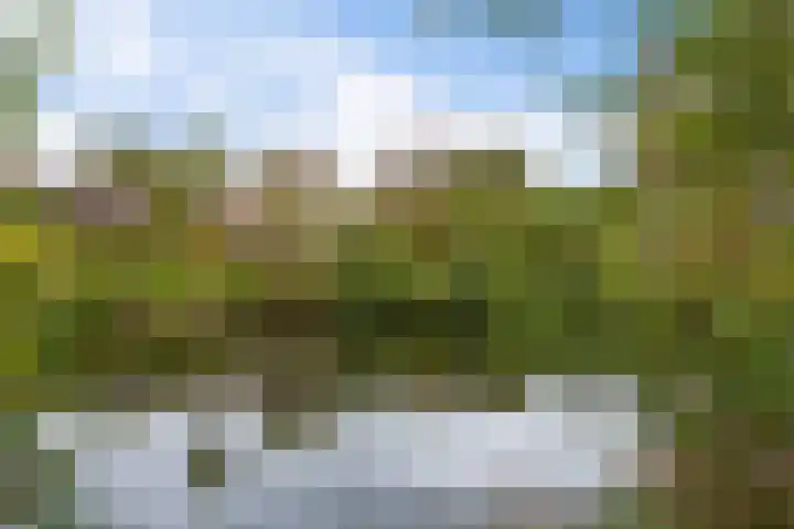 Jan Poortmanweg 2 de Wijk thumbnail 54