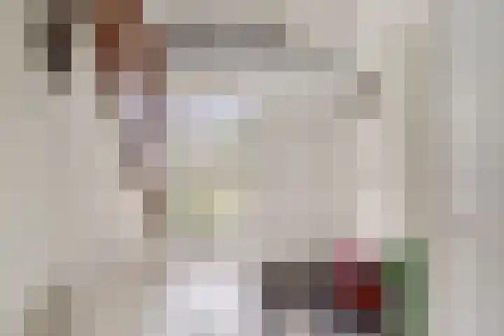 Jan Poortmanweg 2 de Wijk thumbnail 6