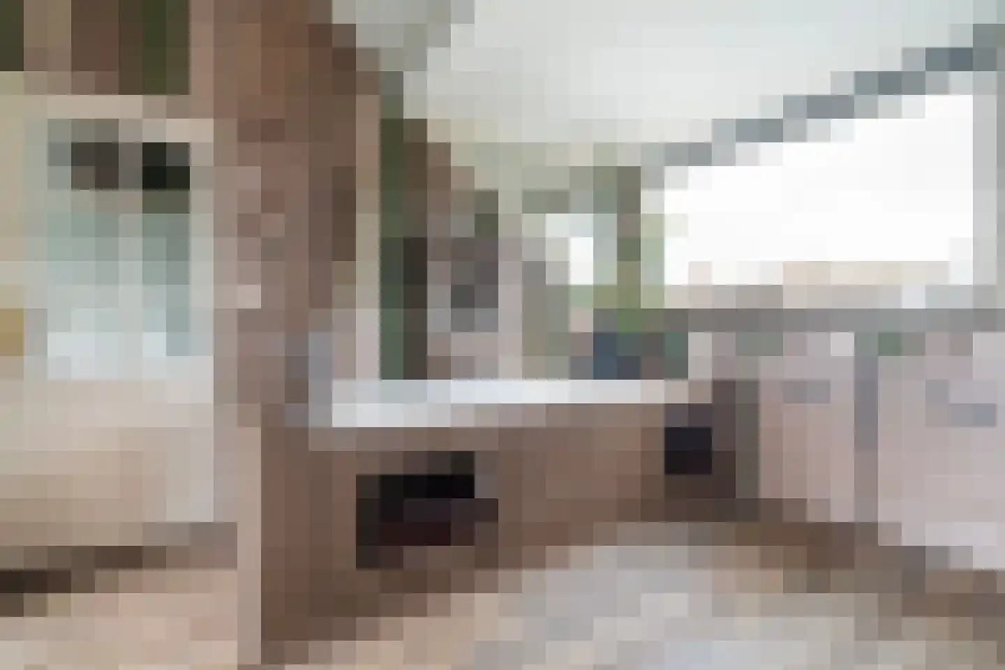 Jan Porcellisstraat 2 Zoeterwoude thumbnail 31