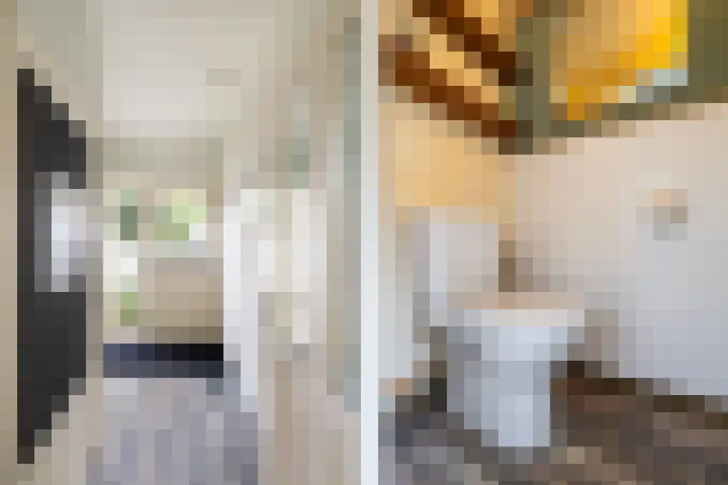 Jan Porcellisstraat 2 Zoeterwoude thumbnail 4