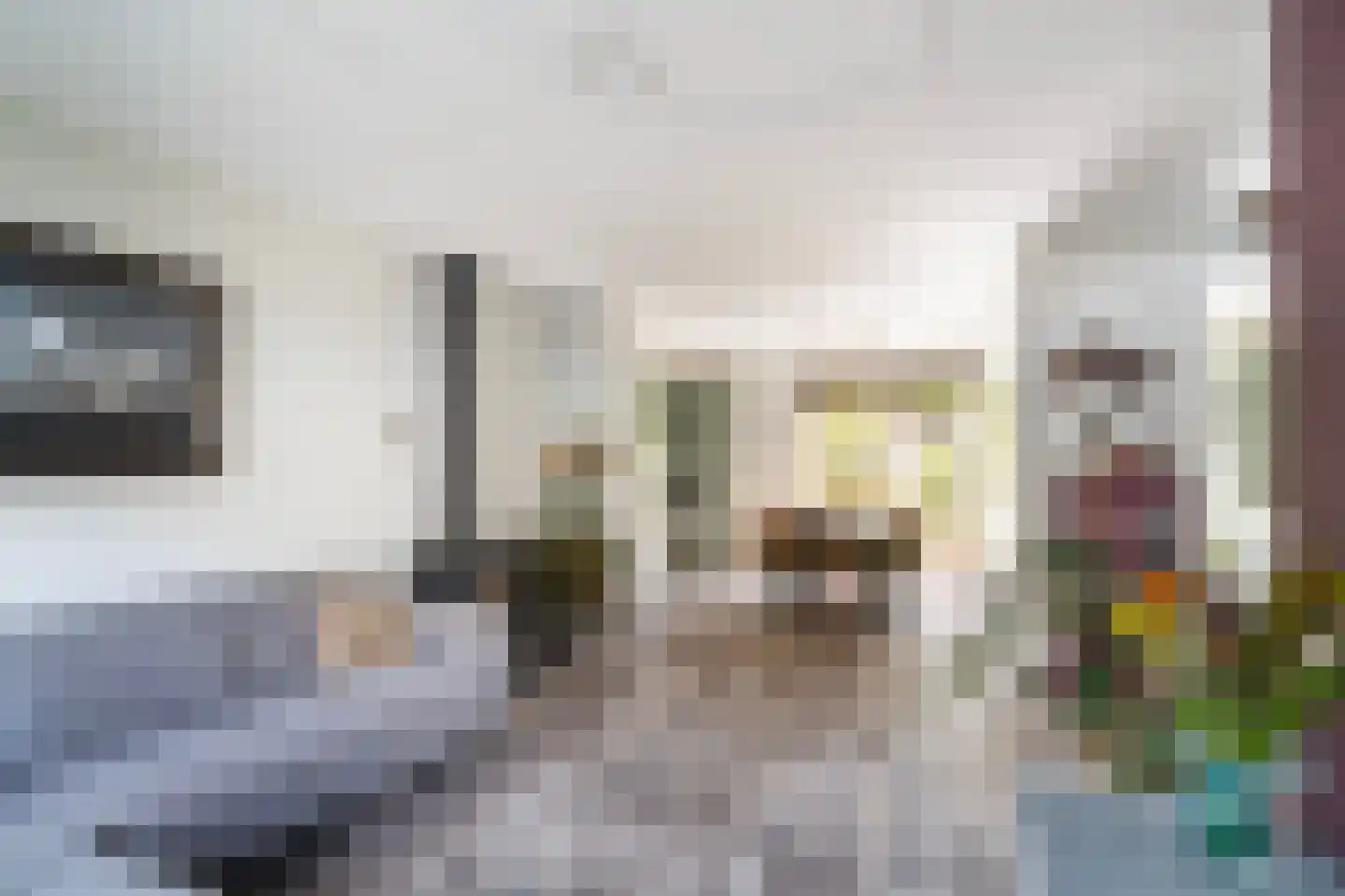 Jan Porcellisstraat 2 Zoeterwoude thumbnail 5