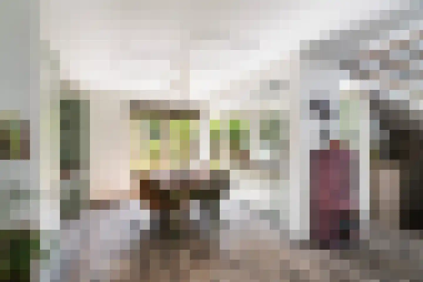 Jan Porcellisstraat 2 Zoeterwoude thumbnail 6