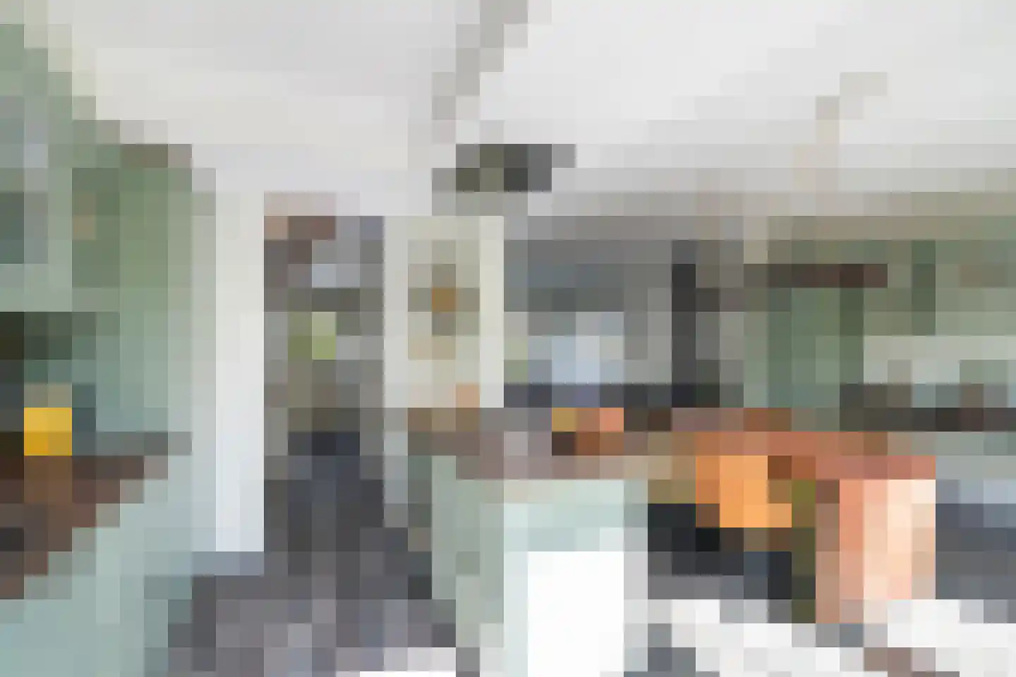 Jan Porcellisstraat 2 Zoeterwoude thumbnail 9