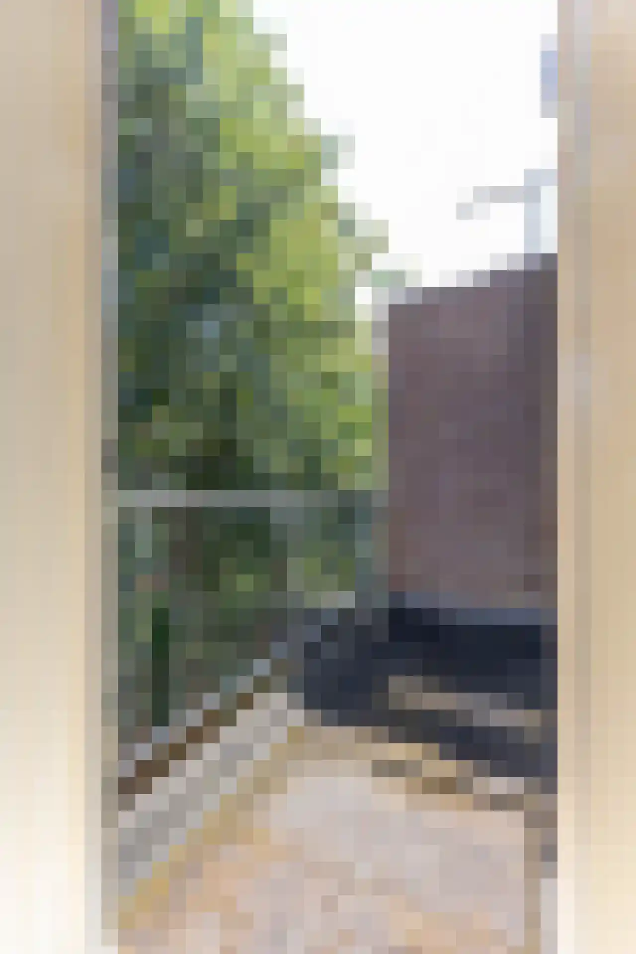 Jan Porcellisstraat 20 B Rotterdam thumbnail 12
