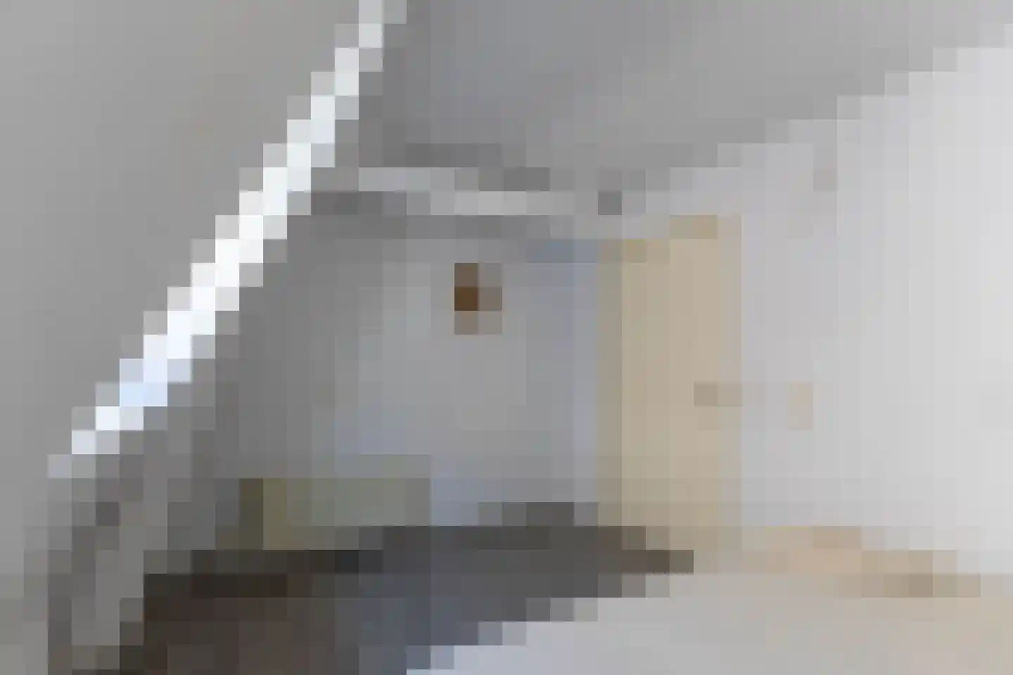 Jan Porcellisstraat 20 B Rotterdam thumbnail 30