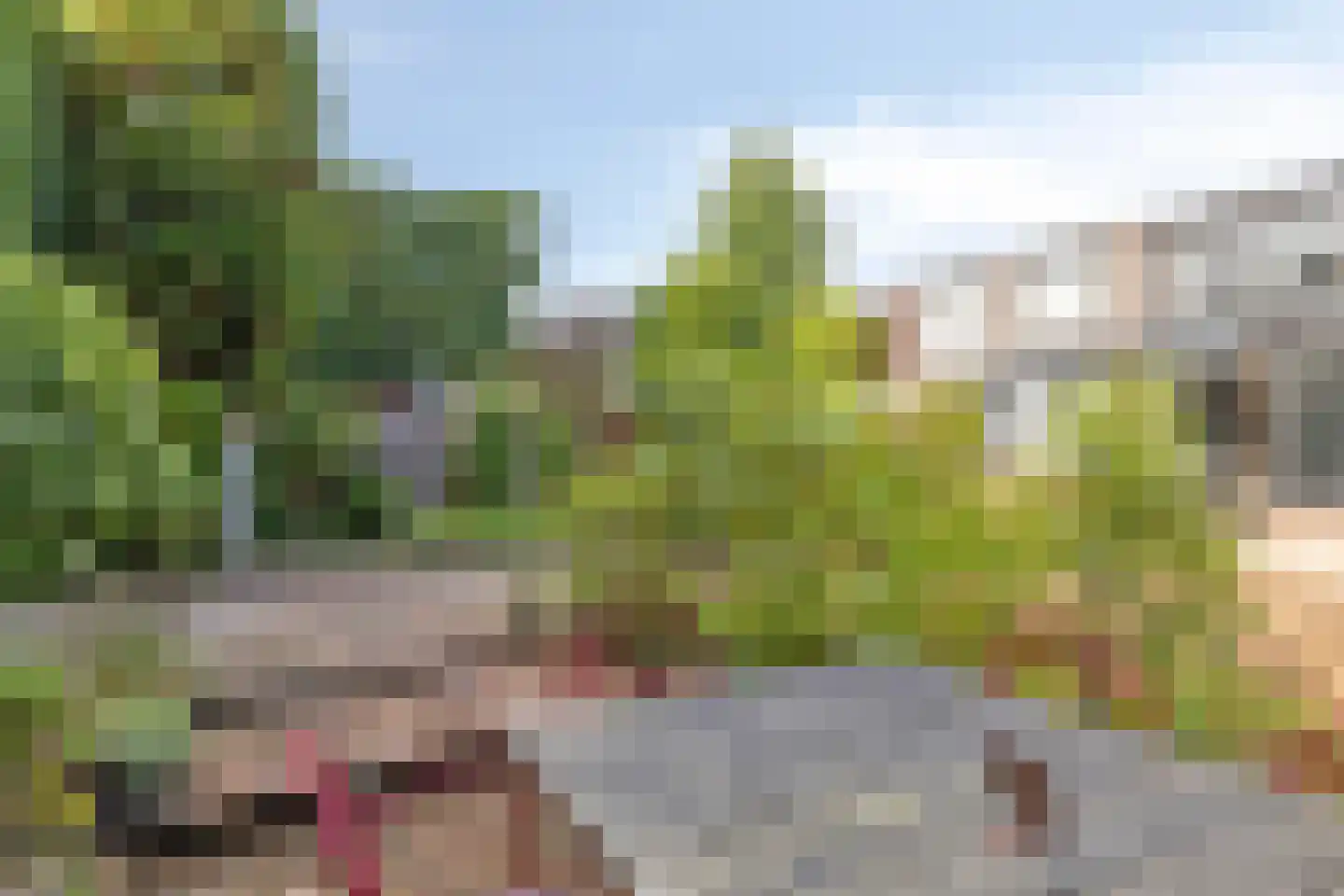 Jan Porcellisstraat 4 Boxmeer thumbnail 32
