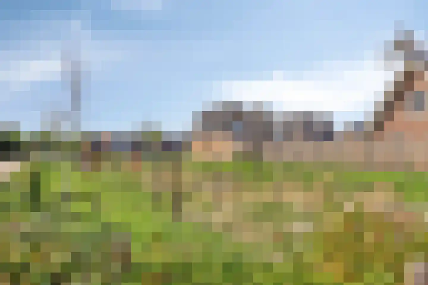 Jan Porcellisstraat 4 Boxmeer thumbnail 35