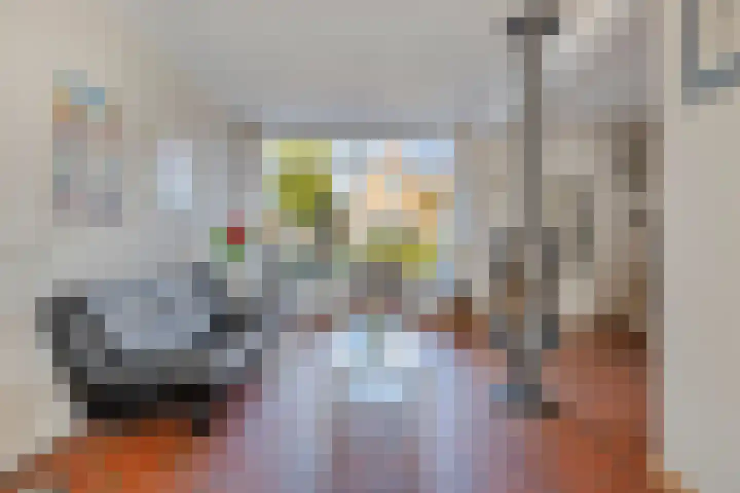 Jan Porcellisstraat 4 Boxmeer thumbnail 8