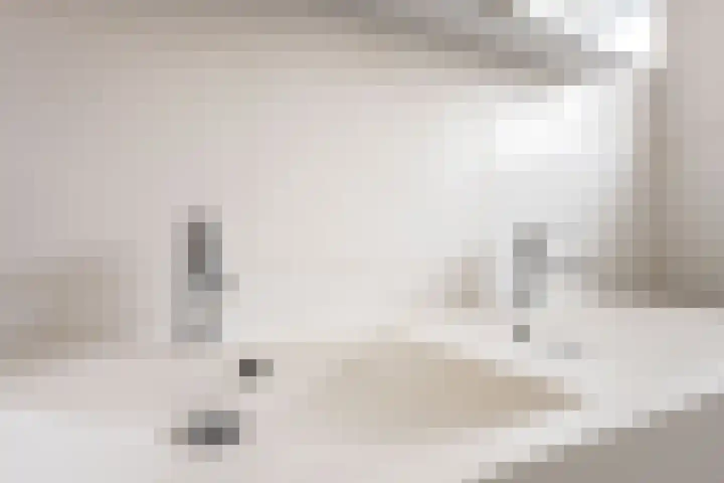 Jan Prinsheem 3 Hillegom thumbnail 24