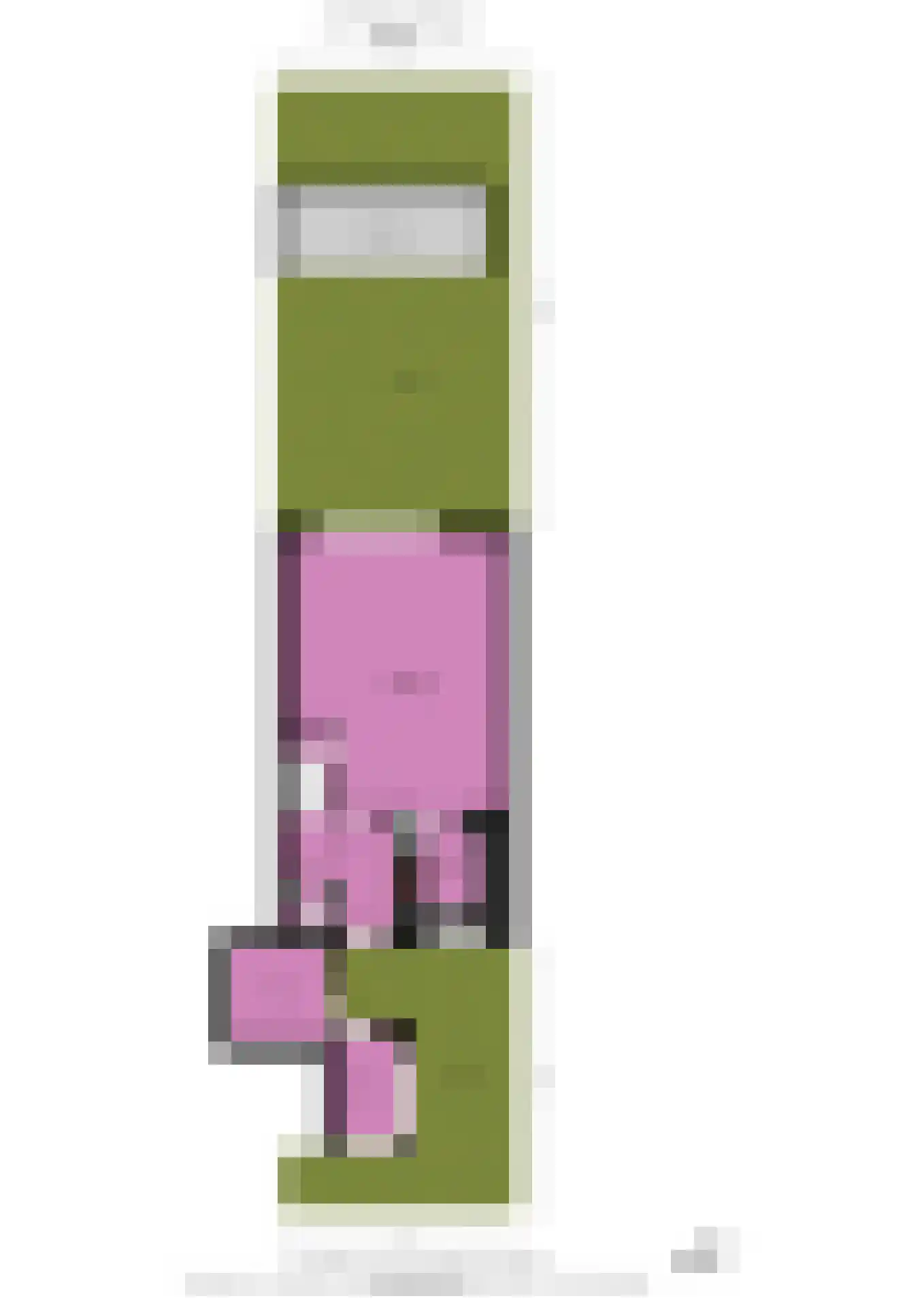 Jan Prinsheem 3 Hillegom thumbnail 37