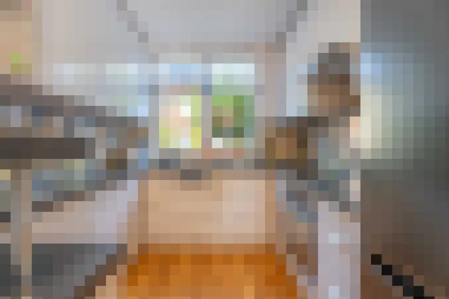 Jan Prinsheem 3 Hillegom thumbnail 9