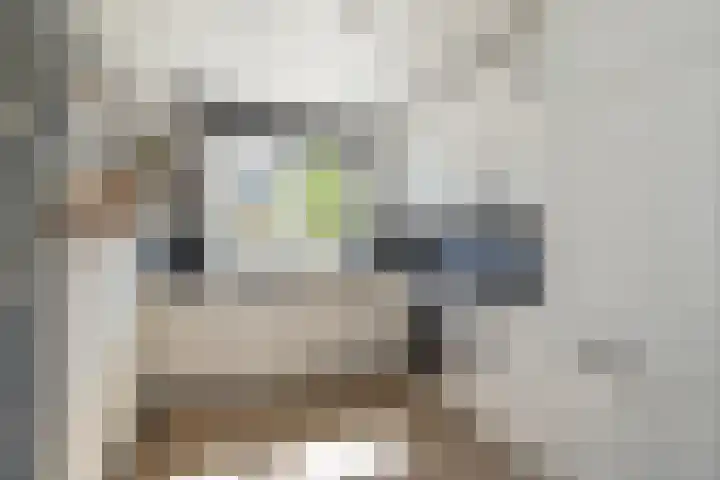 Jan Prinsheem 35 Hillegom thumbnail 10