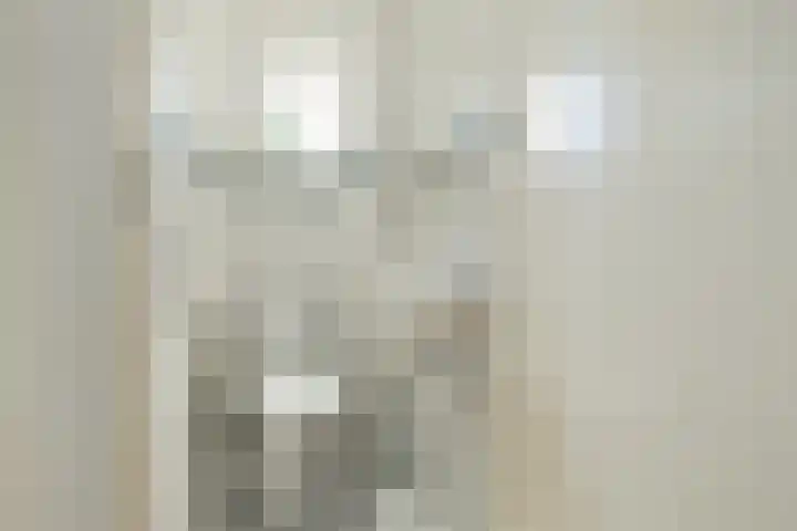 Jan Prinsheem 35 Hillegom thumbnail 13