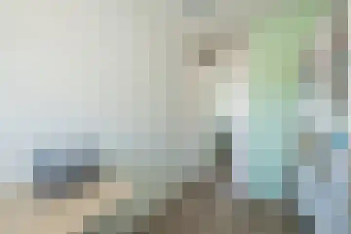 Jan Prinsheem 35 Hillegom thumbnail 19