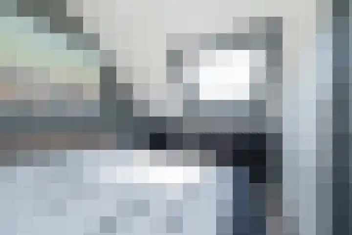 Jan Prinsheem 35 Hillegom thumbnail 31
