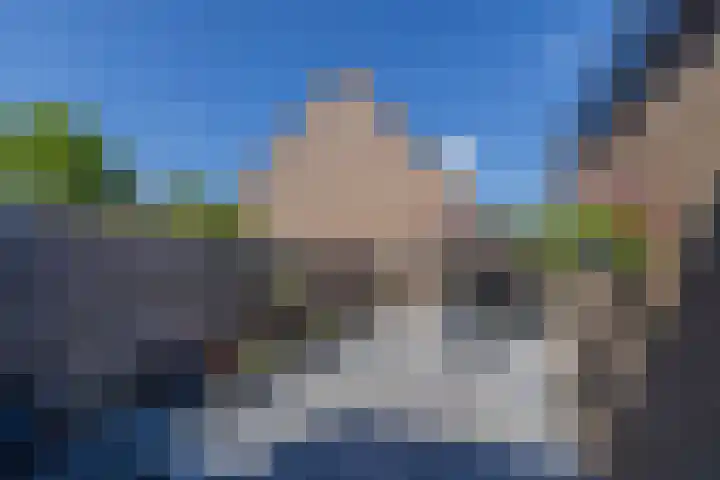 Jan Prinsheem 35 Hillegom thumbnail 34